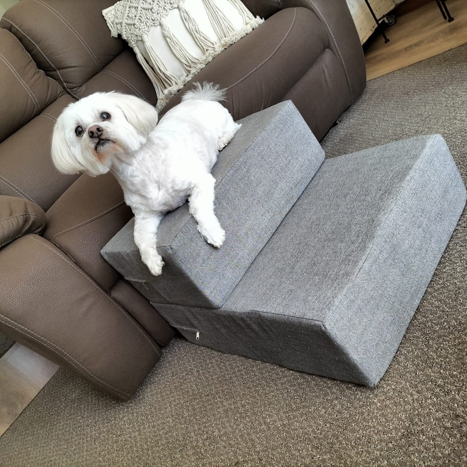 Doggy Folding Steps