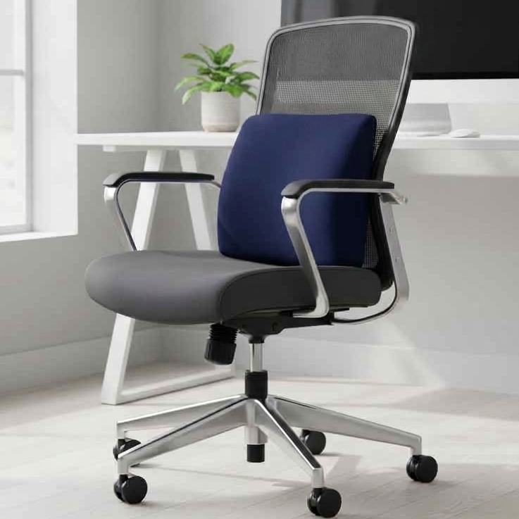 Lumbar Support Cushion