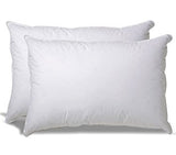 Hollow Fibre Pillow